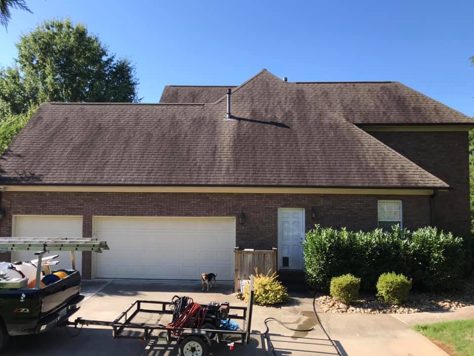 Roof Cleaning Professionals